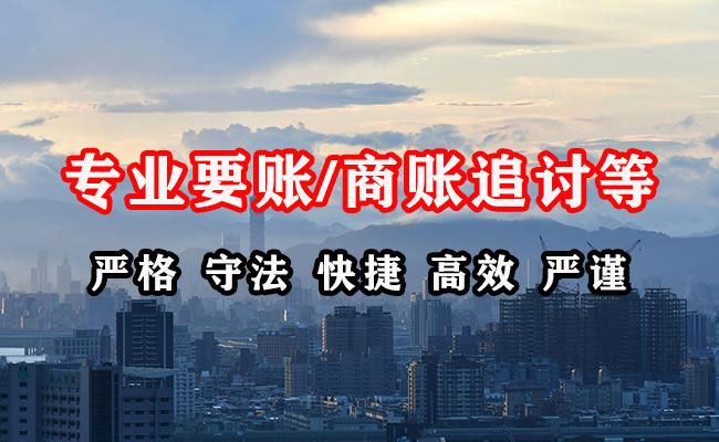 陆丰收债公司